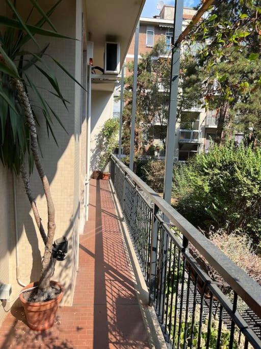 Apartment And Cosy Flat In Area Mailand